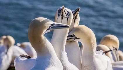 陇南伴游，定制QQ：3494206190微信：act1322